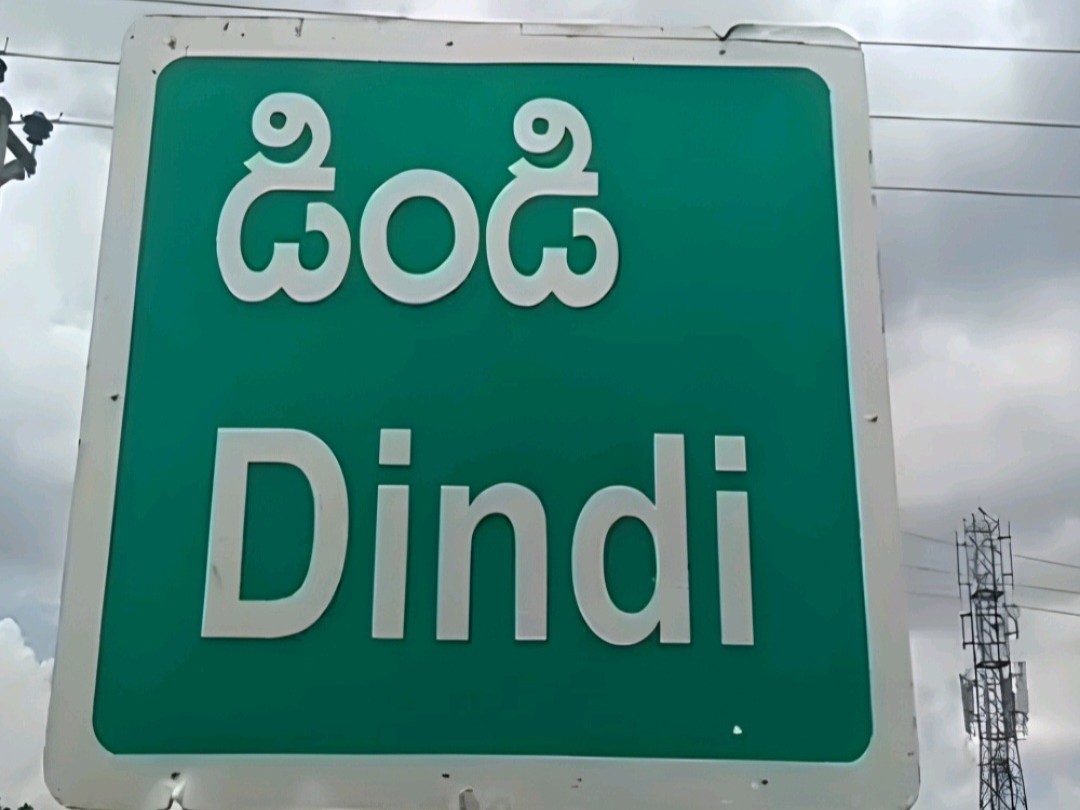 ఈనెల 30న డిండిలో తైబజార్ వేలం పాట