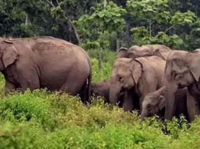 ‘మండలంలోని ప్రజలు అప్రమత్తంగా ఉండాలి’