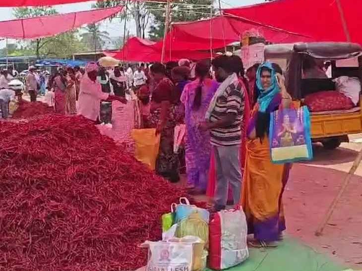 వేసవికాలం ఎండు మిర్చి ధర వింటే షాక్..!