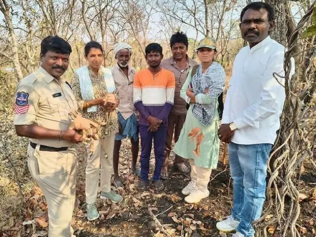 అటవీ శాఖకు జింకల అప్పగింత