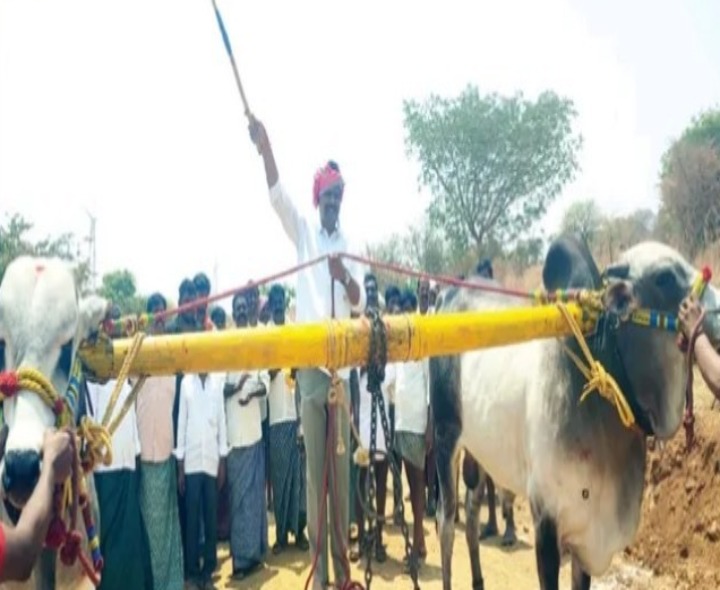 ఎద్దుల బండలాగుడు పోటీలు హోరాహోరీ