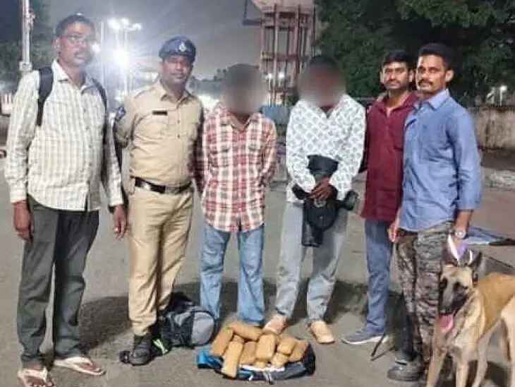 3 కేజీల గంజాయిని పట్టుకున్న నార్కోటిక్ డాగ్
