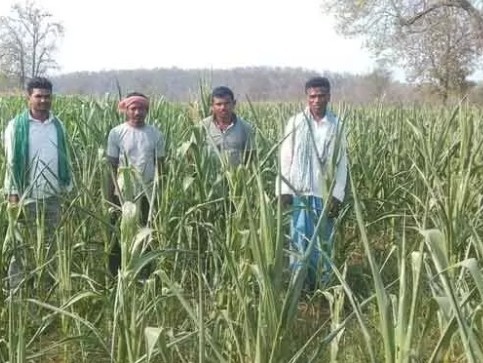 విద్యుత్ సమస్యతో సతమతమవుతున్న రైతులు