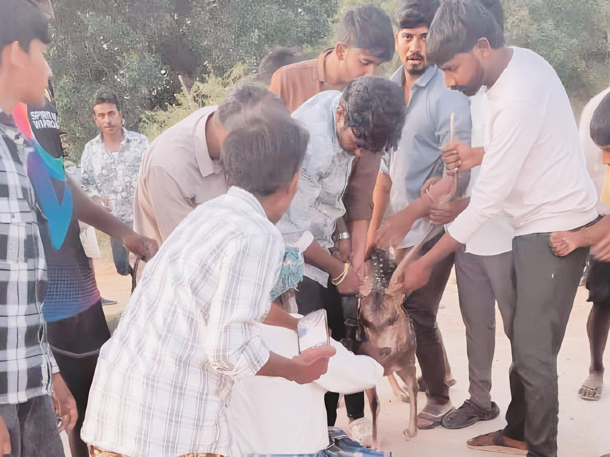 దుప్పిని రక్షించిన గ్రామస్తులు