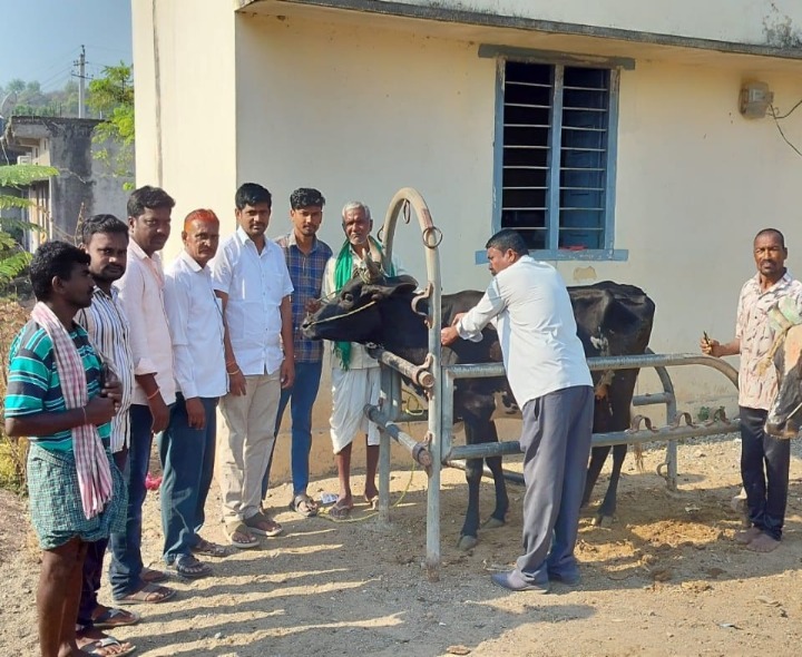 ‘పశు పోషణలో జాగ్రత్తలు పాటించాలి’