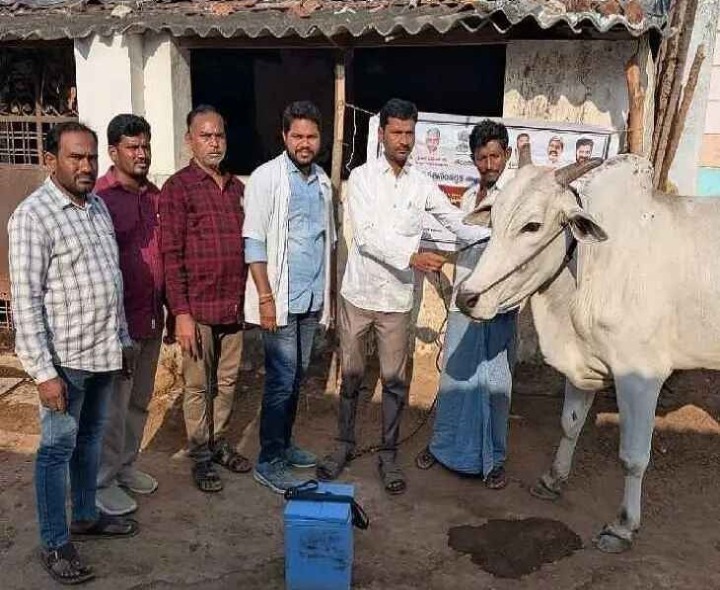 ‘పశువులకు గాలికుంటు నివారణ టీకాలు తప్పనిసరి’