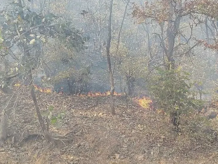 సిరికొండ అడవుల్లో మంట