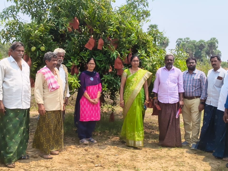 తోటల పరిరక్షణపై రైతులకు అవగాహన