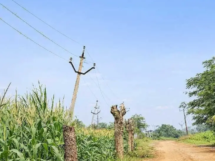 “వెంటనే విద్యుత్ తీగల సమస్యలను పరిష్కరించాలి”