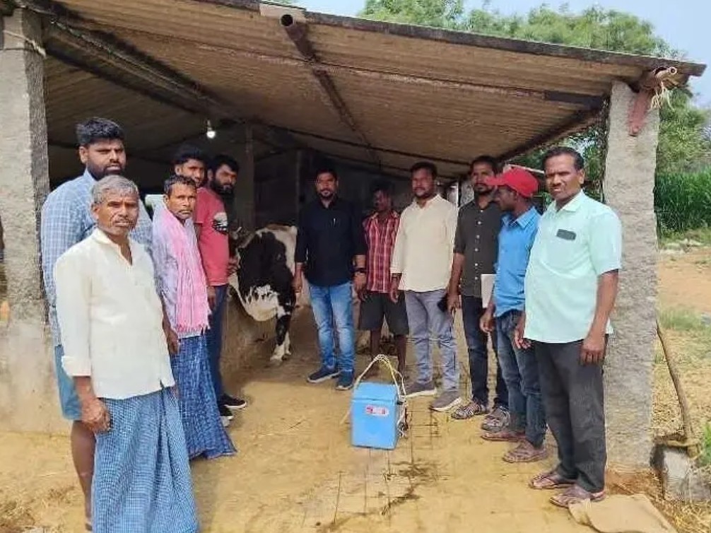 గాలికుంటు వ్యాధి నివారణకు మందులు పంపిణీ