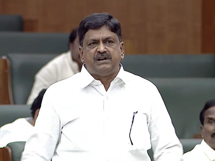 వైసీపీ సమాజానికి హానికరం: మంత్రి పయ్యావుల