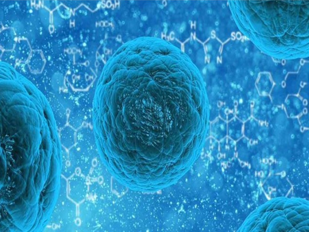 HYDలో 89 రకాల యాంటీబయాటిక్ రెసిస్టెన్స్ జీన్స్!