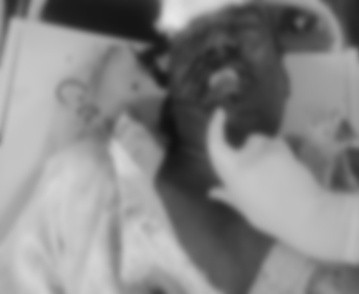 ప్రమాదంలో ట్రాఫిక్ హెడ్ కానిస్టేబుల్ మృతి