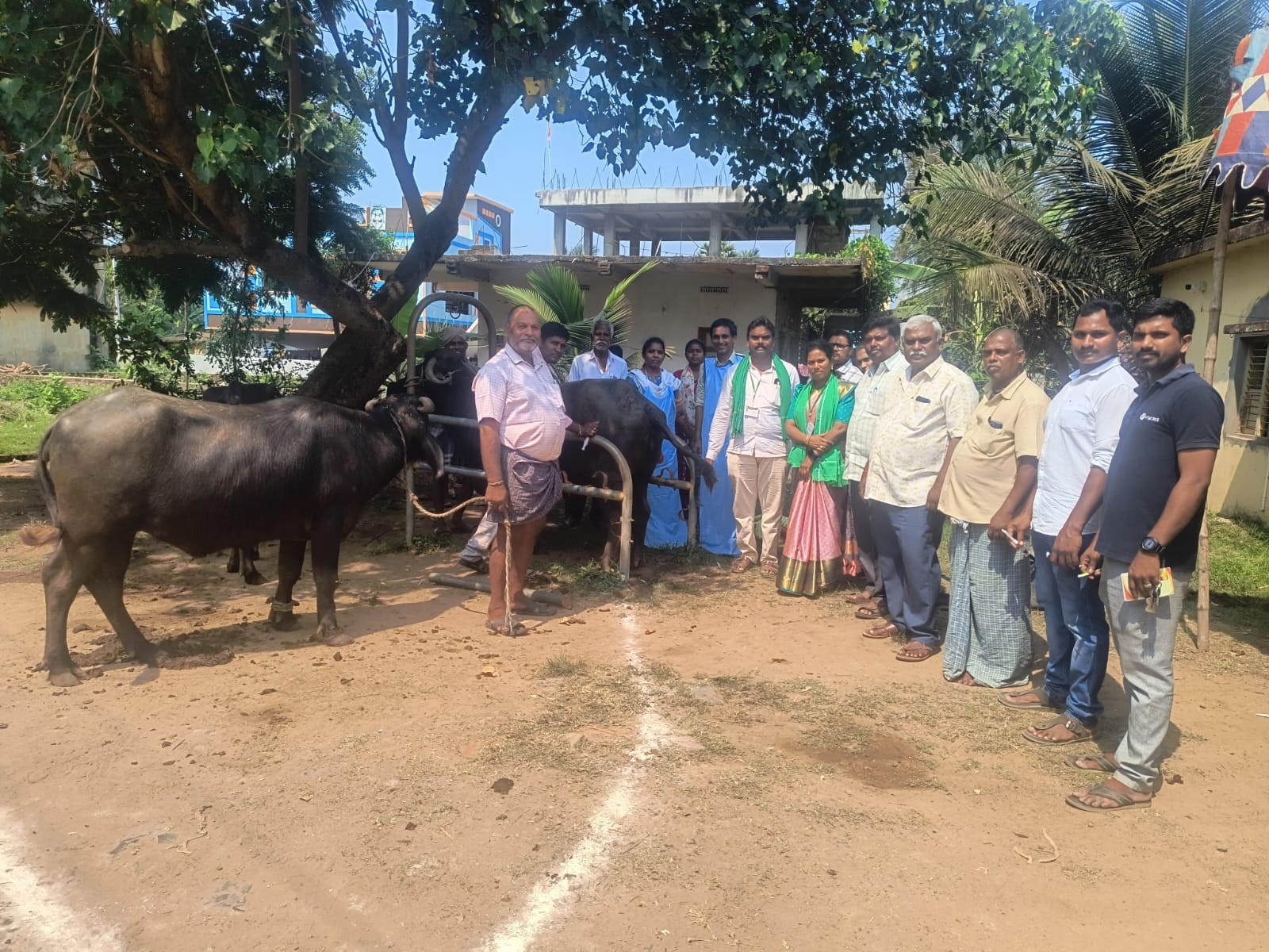 రామారాయుడుపాలెంలో ఉచిత పశు వైద్య శిబిరం