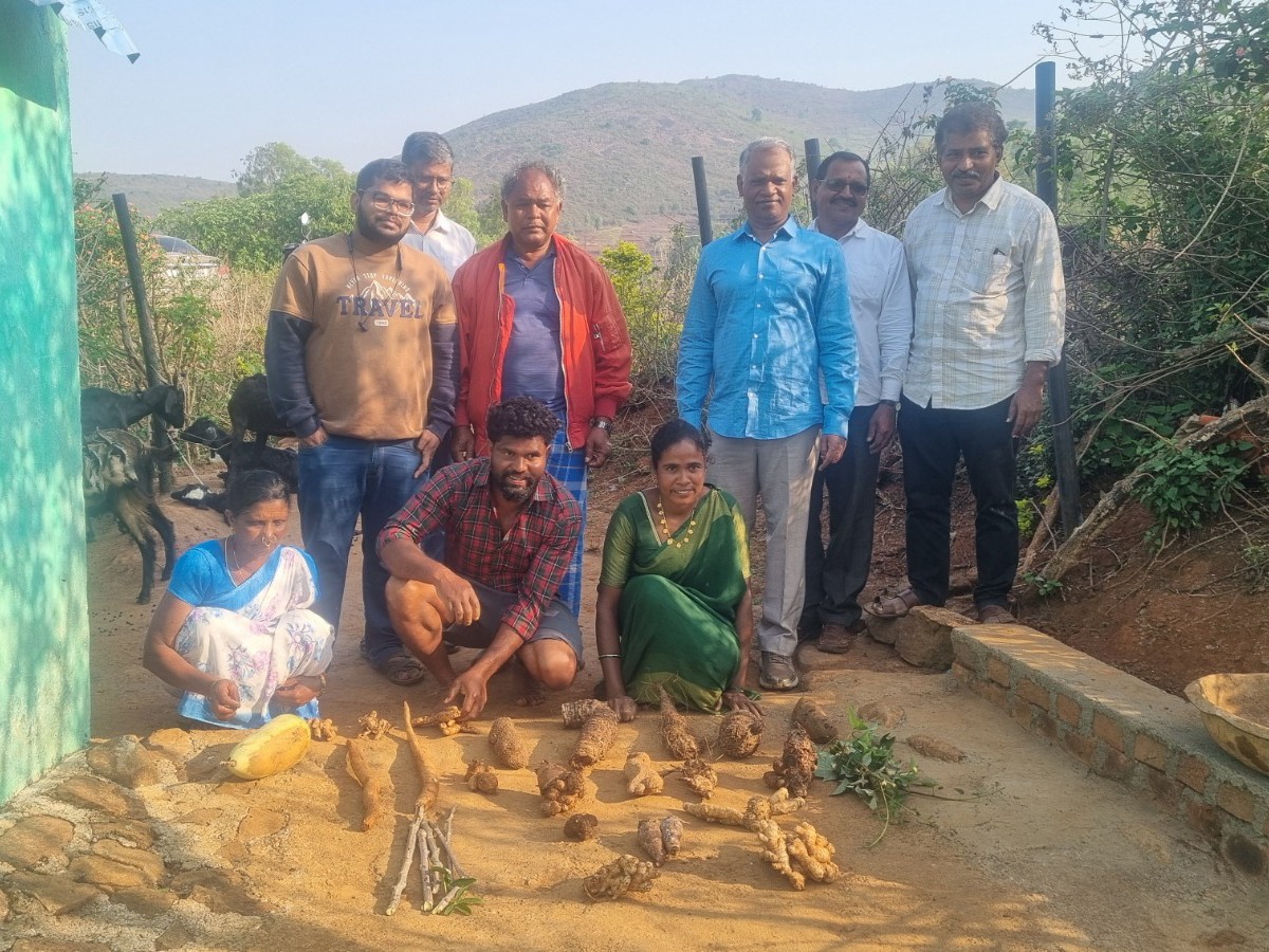 దుంప జాతి పంటల ప్రాముఖ్యతపై అవగాహన