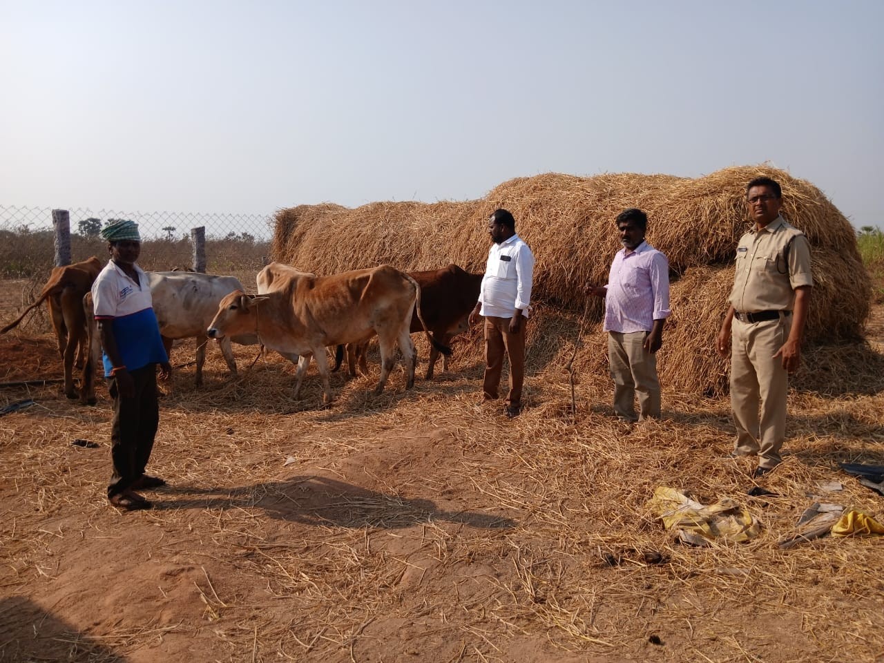 గోవుల అక్రమ రవాణా.. కేసు నమోదు