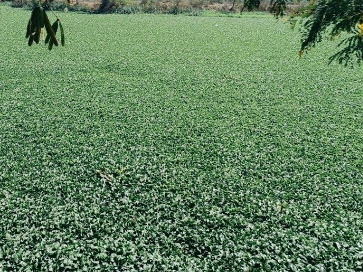 సుందరీకరణ సరే.. శుభ్రత ఎన్నడు..?