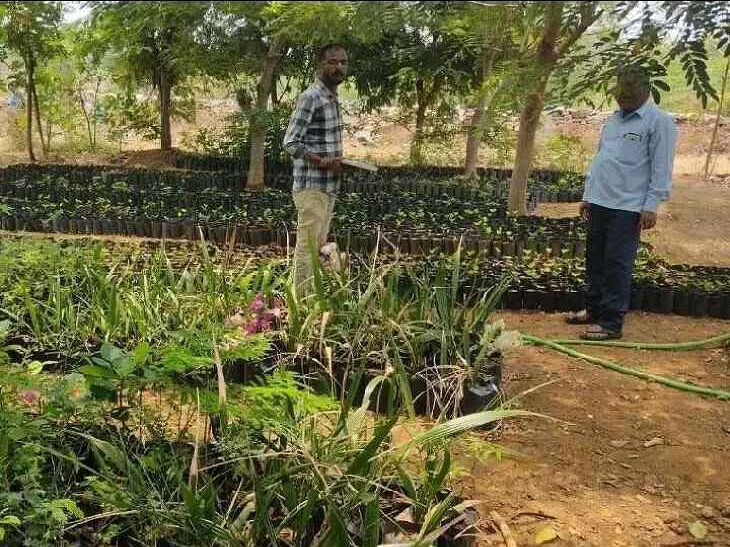 గోపులాపూర్ పంచాయతీ నర్సరీని పరిశీలించిన ఎంపీడీవో