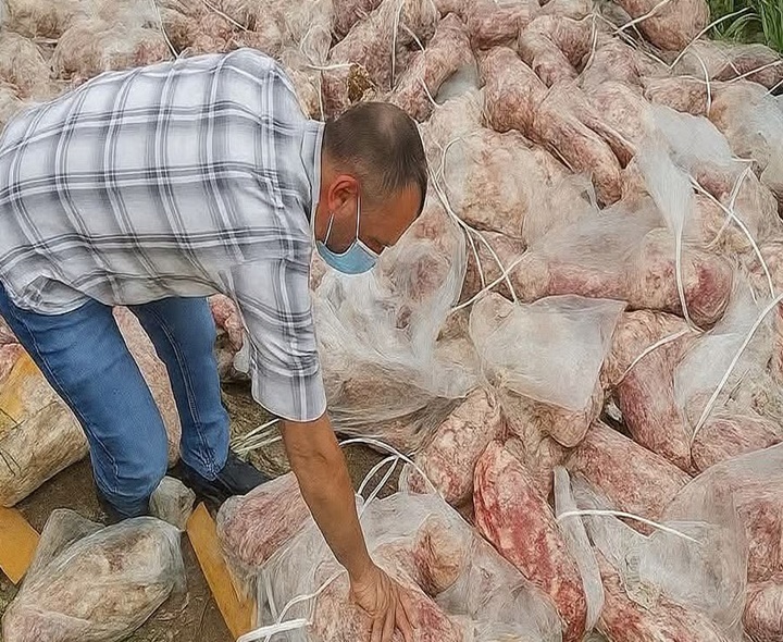 కల్తీ దందా.. వేలాది కిలోల మాంసం స్వాధీనం