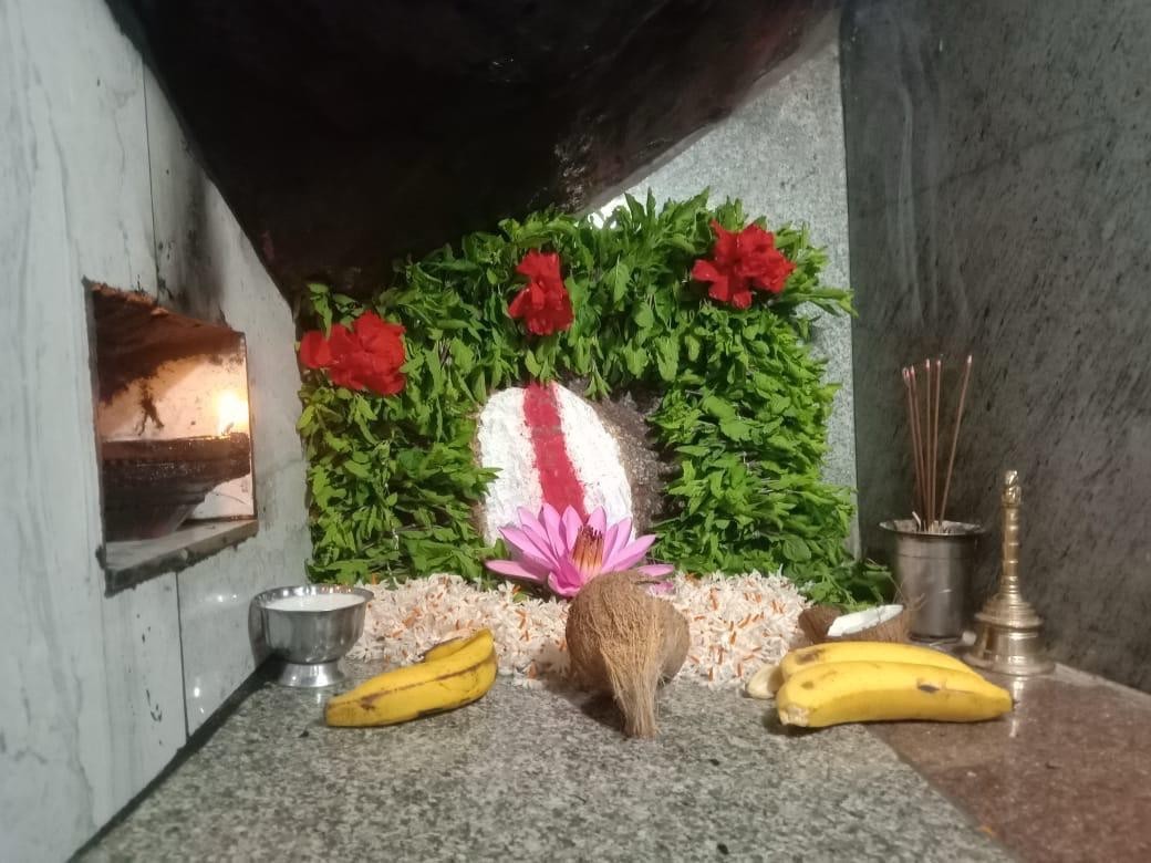 తిమ్మప్ప స్వామి ఆలయంలో కామధ ఏకాదశి పూజలు