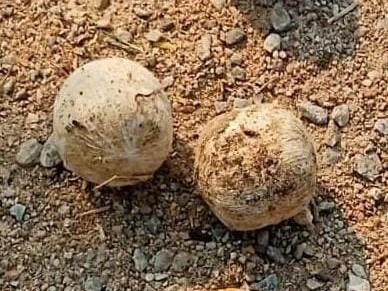 పేలుడు పదార్థాల కలకలం..!