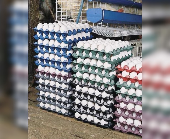 జిల్లాలో భారీగా పడిపోయిన ధరలు.. బంద్ ప్రభావమా..?