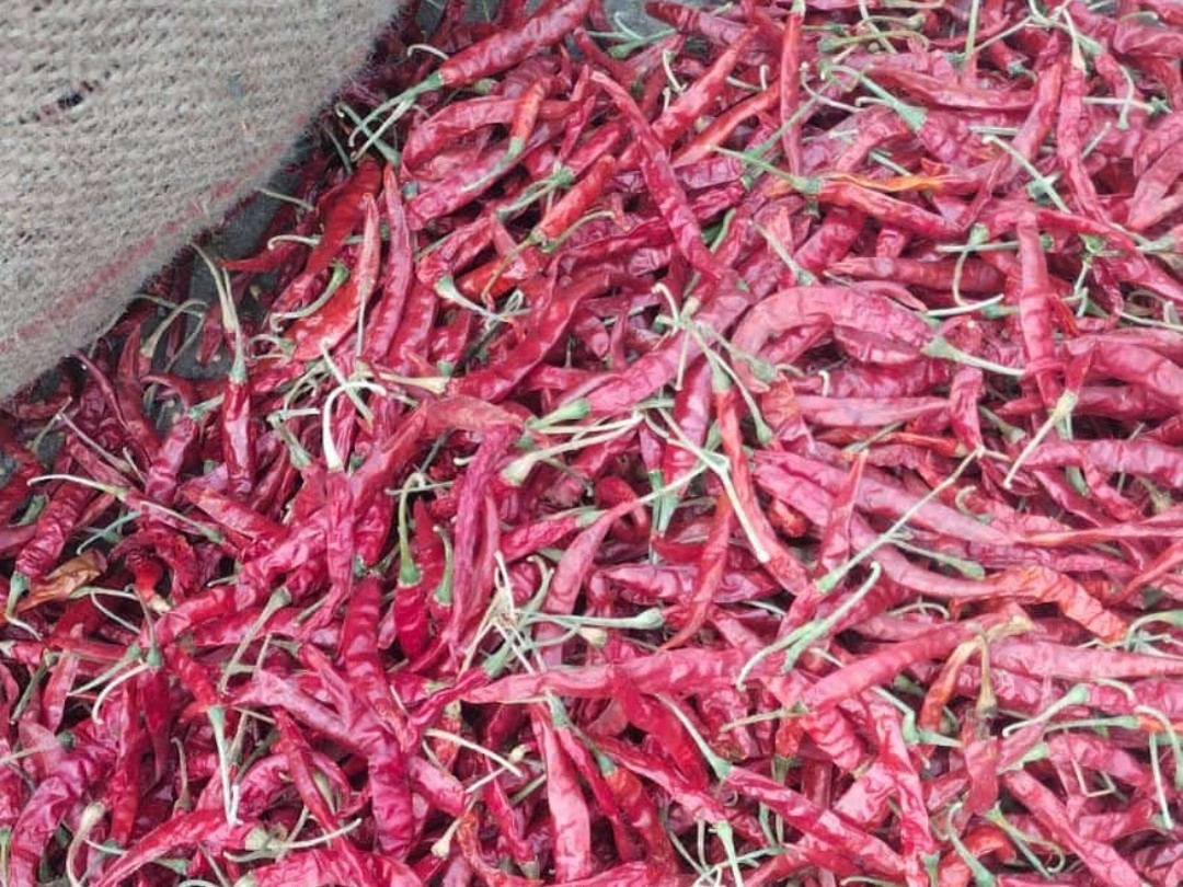 వరంగల్ మార్కెట్లో ఉత్పత్తుల ధరలిలా..!