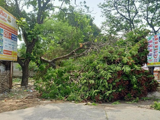 గాలి వాన బీభత్సం.. రైతులకు తీవ్ర కష్టం