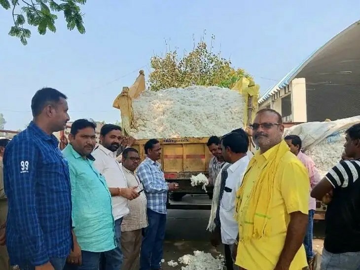 మార్కెట్‌లో నిలకడగా పత్తి ధర