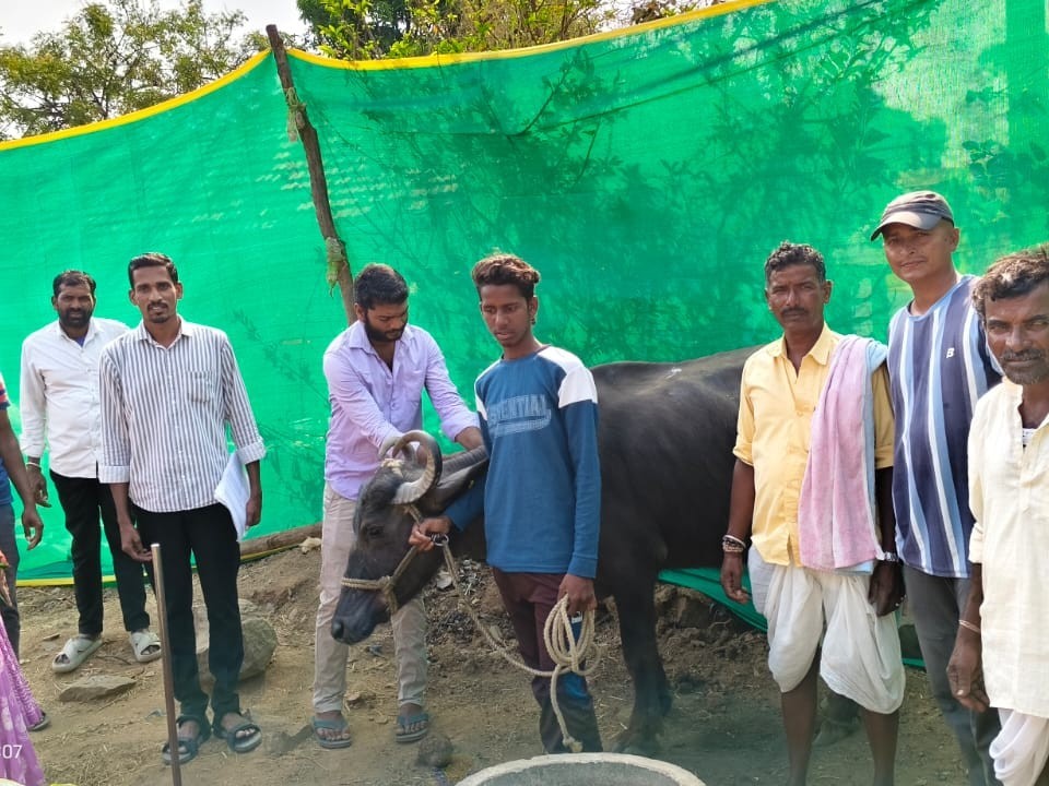 గాలికుంటు టీకాల కార్యక్రమం ప్రారంభం