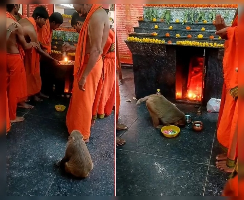 VIRAL: సాక్షాత్తూ ఆ బజరంగబలి దర్శనమిచ్చాడా?