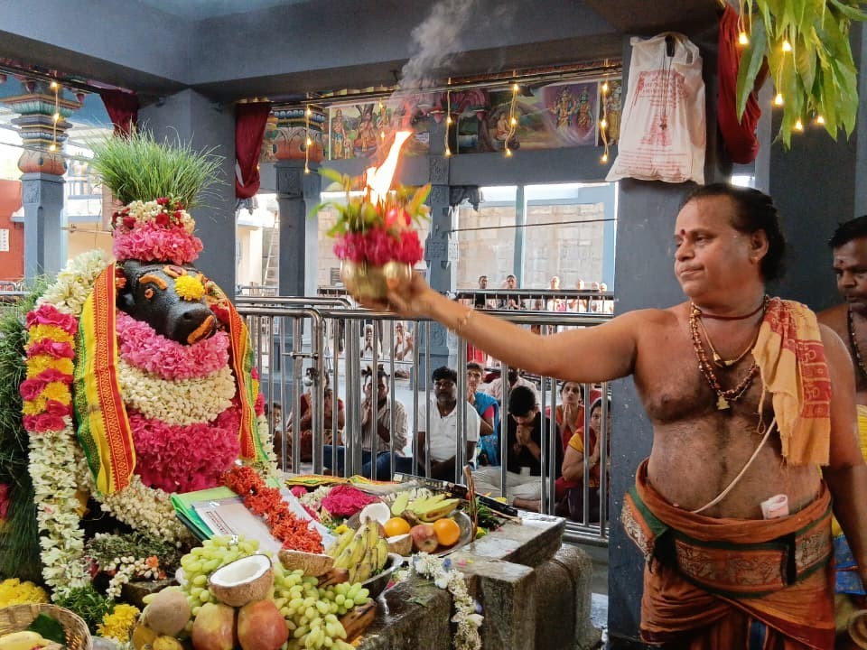 ఆలయంలో ప్రదోష పూజలు