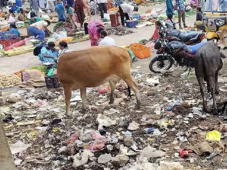 కంపుకొడుతున్న మార్కెట్ యార్డ్