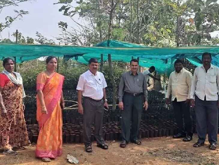 రుద్రారం నర్సరీని సందర్శించిన ఎంపీడీవో