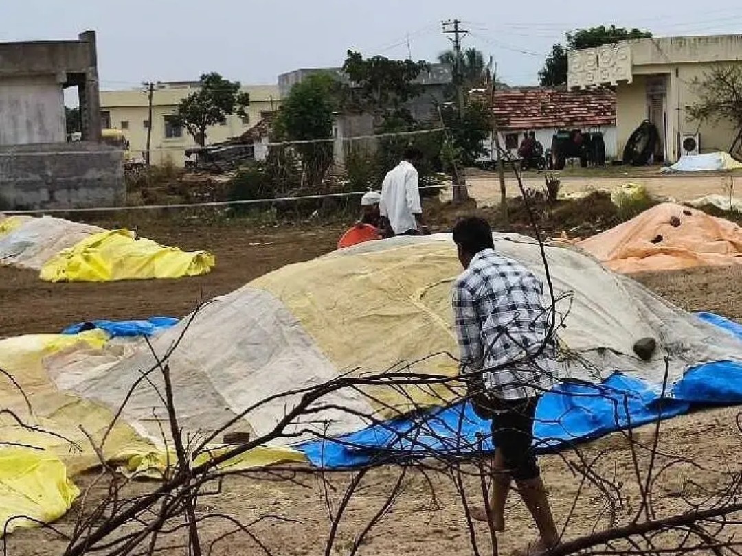 అకాల వర్షంతో తడిసిన ధాన్యం