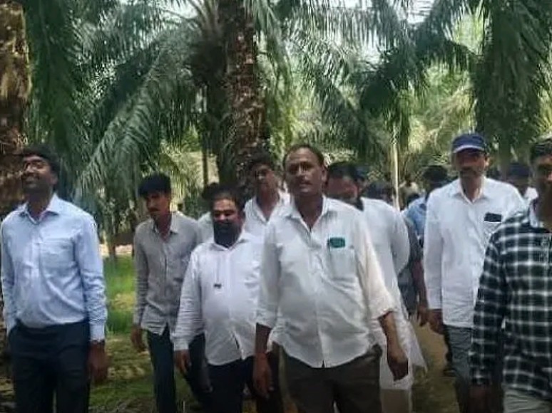 కొడంగల్ రైతులకు ఆయిల్ పామ్ సాగుపై అవగాహన