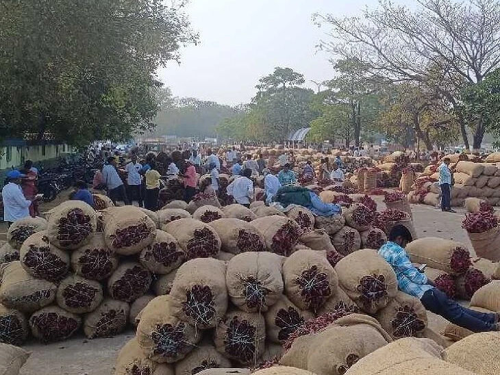 ఎనుమాముల వ్యవసాయ మార్కెట్లో నేటి ధరలు