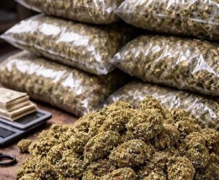 గంజాయి విక్రయాలపై పోలీసుల దాడి