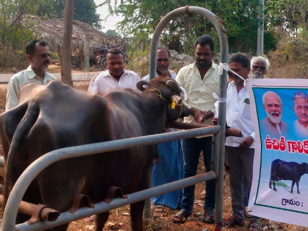 ‘అన్ని పశువులకు టీకాలు వేయించాలి’