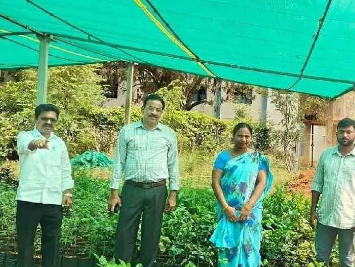 శాంతినగర్ ‘నర్సరీ’ని పరిశీలించిన స్పెషల్ ఆఫీసర్