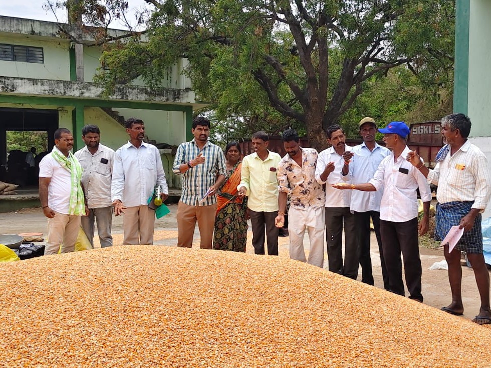 ‘వెంటనే రైతులకు న్యాయం చేయాలి’