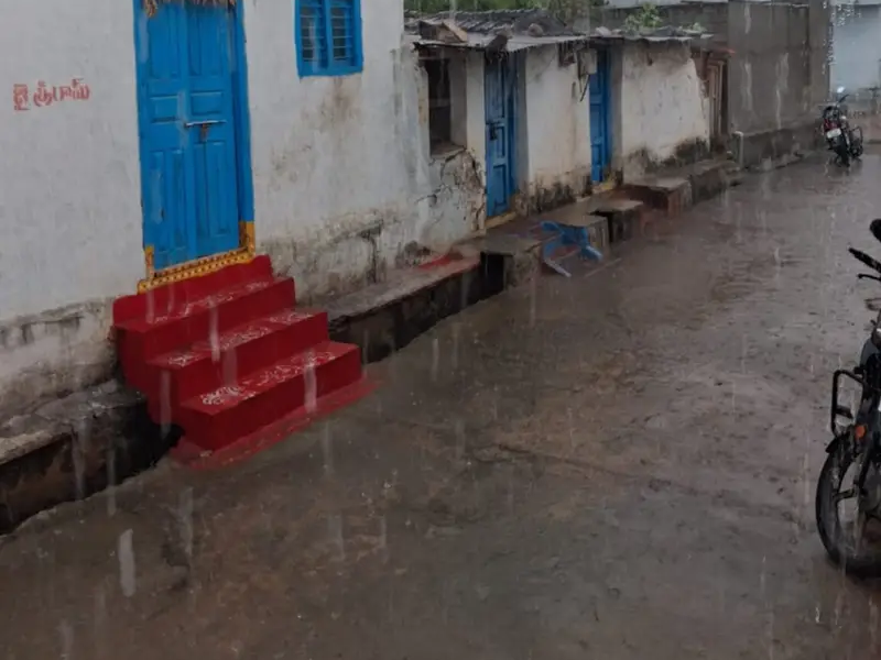 రఘునాథపల్లిలో కురిసిన వర్షం