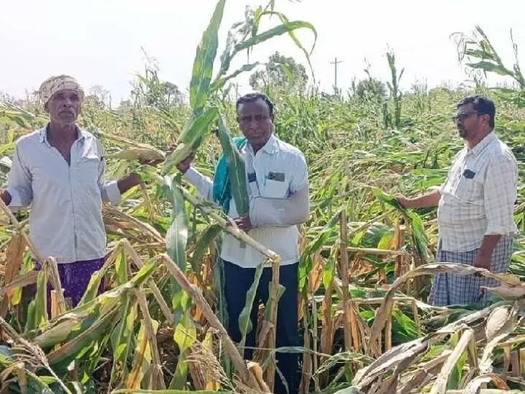 ‘రైతులను ప్రభుత్వం వెంటనే ఆదుకోవాలి’