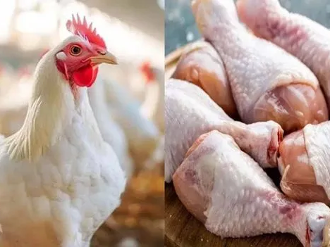 చికెన్ ప్రియులకు బ్యాడ్ న్యూస్.. నేడు షాపులు బంద్!!