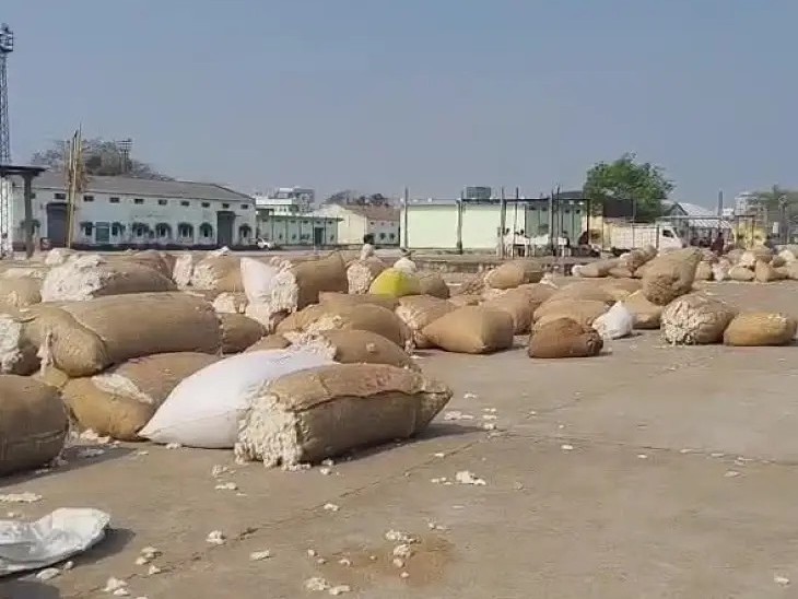 పెద్దపల్లి మార్కెట్లో పత్తి  గరిష్ట ధర 7611