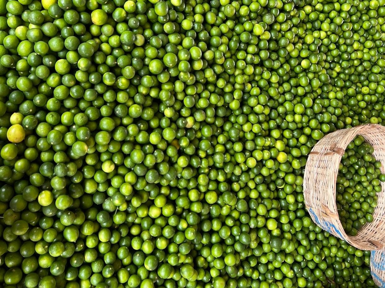 నింగిలోకి నిమ్మకాయ ధర..!