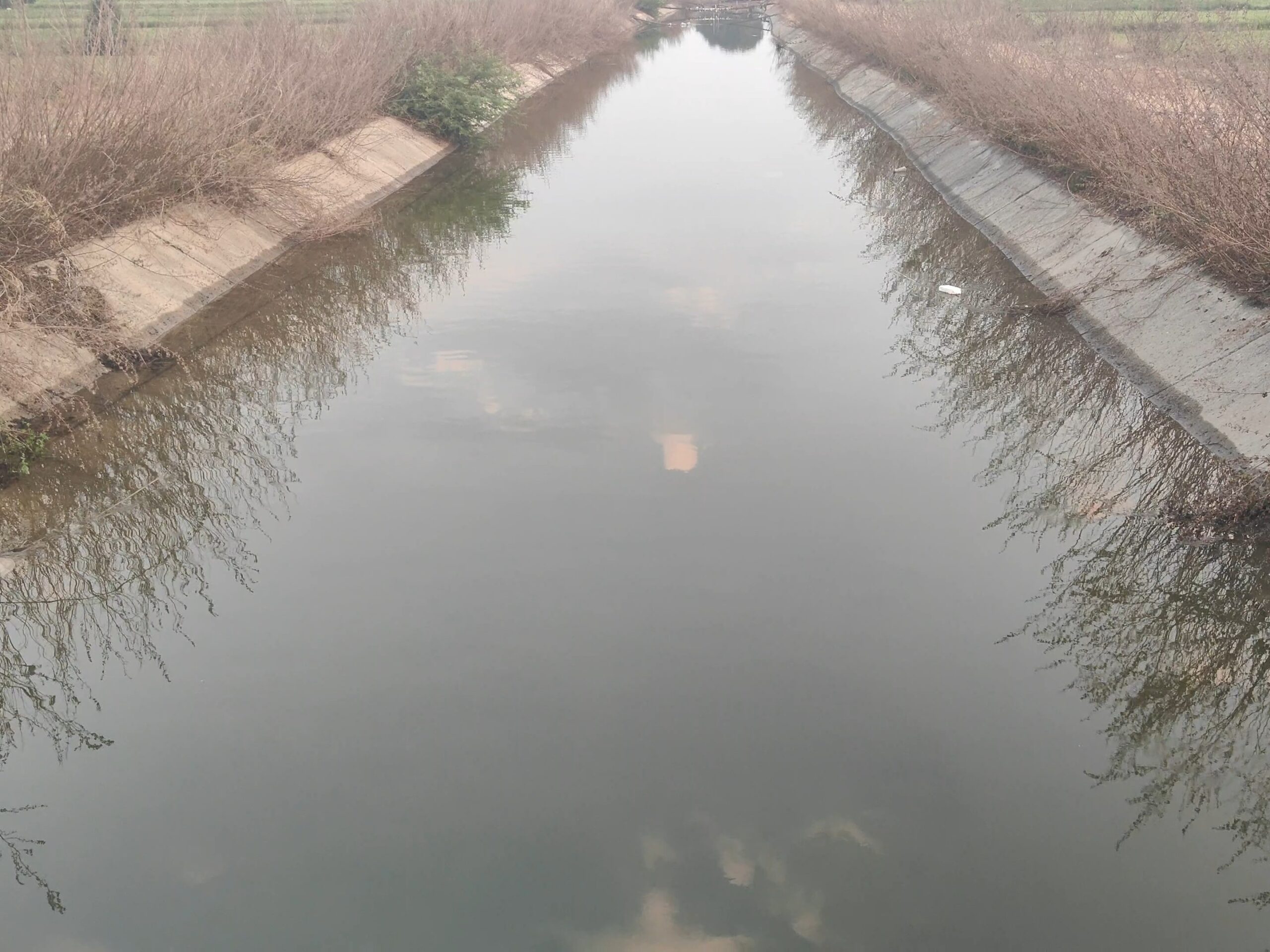 పంటలకు ‘మల్లన్న సాగర్’ జలసిరి