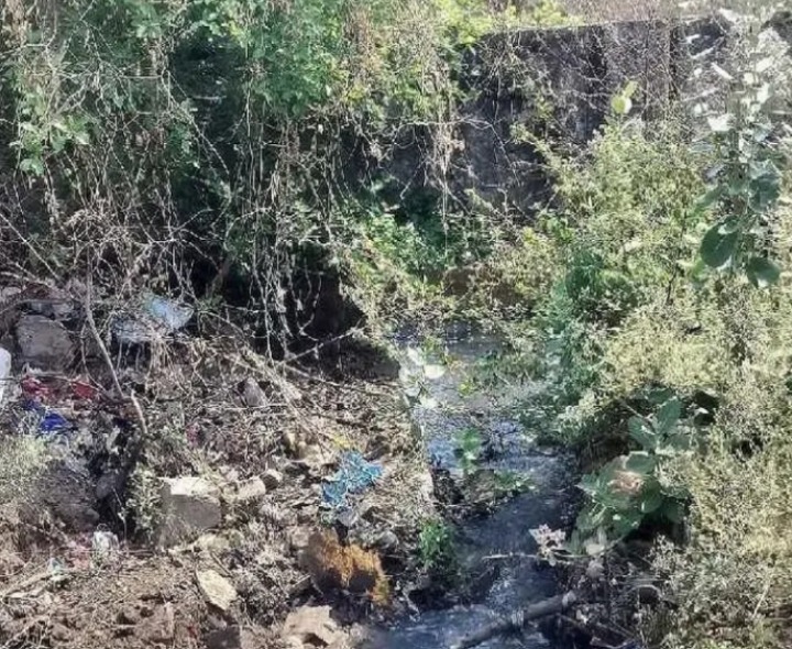 మురుగు కాలువలో పిచ్చి మొక్కలు..!