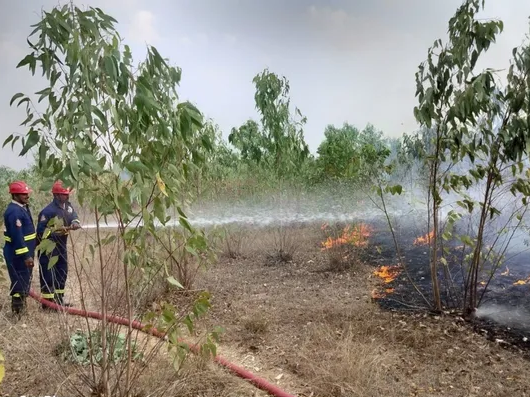 పెట్రోల్ బంక్‌కు తృటిలో తప్పిన ప్రమాదం