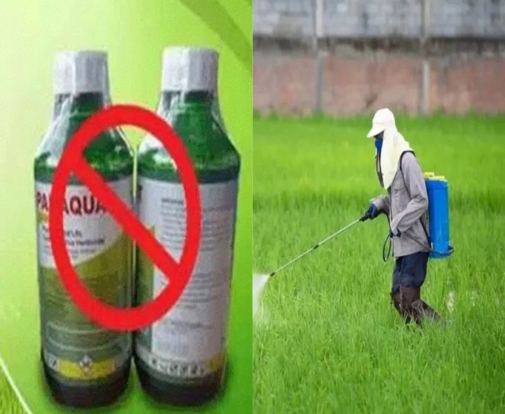 తెలంగాణలో గడ్డిమందు నిషేధం